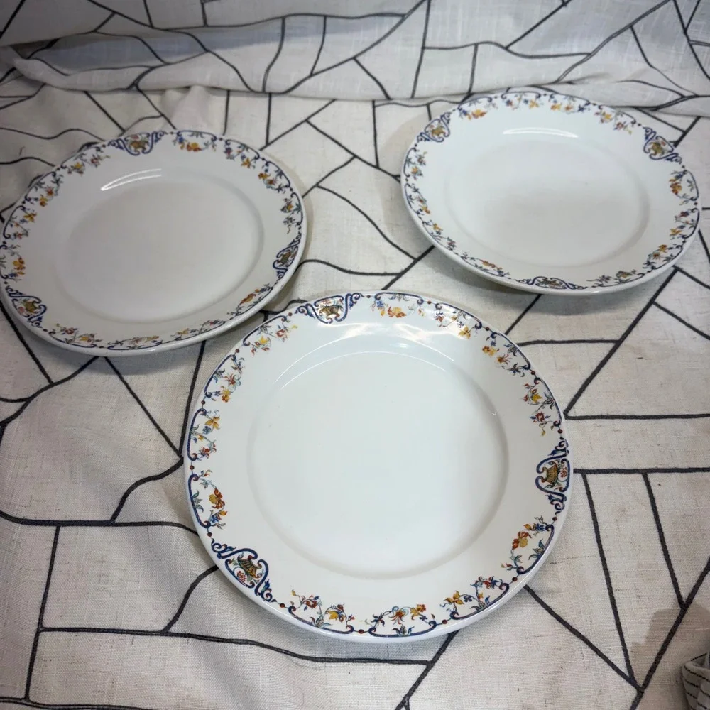 Haviland France Limoges‎ Plates 10